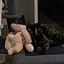 Mira is registered to the contest to win money with this photo: cat, tortoiseshell_cat, stuffed_elephant, plush_toy, ottoman, furniture, indoor, pet, sleeping, cozy, soft_toy, whiskers, animal_portrait, paw, resting, black_fur, brown_fur, blurred_background, shallow_depth_of_field, home