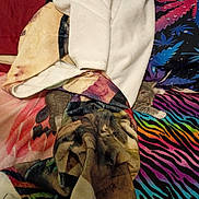 Stormy joined the competition — help win amazing prizes! bed, blanket, cat, colorful, comfort, cozy, fabric, gray, indoor, kitten, patterned, pile, rainbow, resting, sleeping, soft, star_pattern, striped, texture, zebra_print