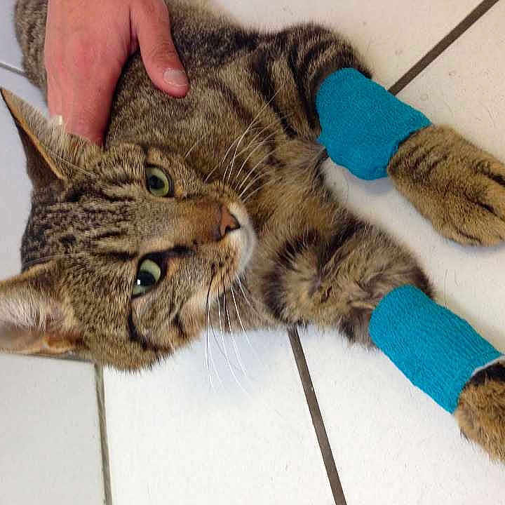 Isy participe au concours pour gagner de l'argent avec cette photo :