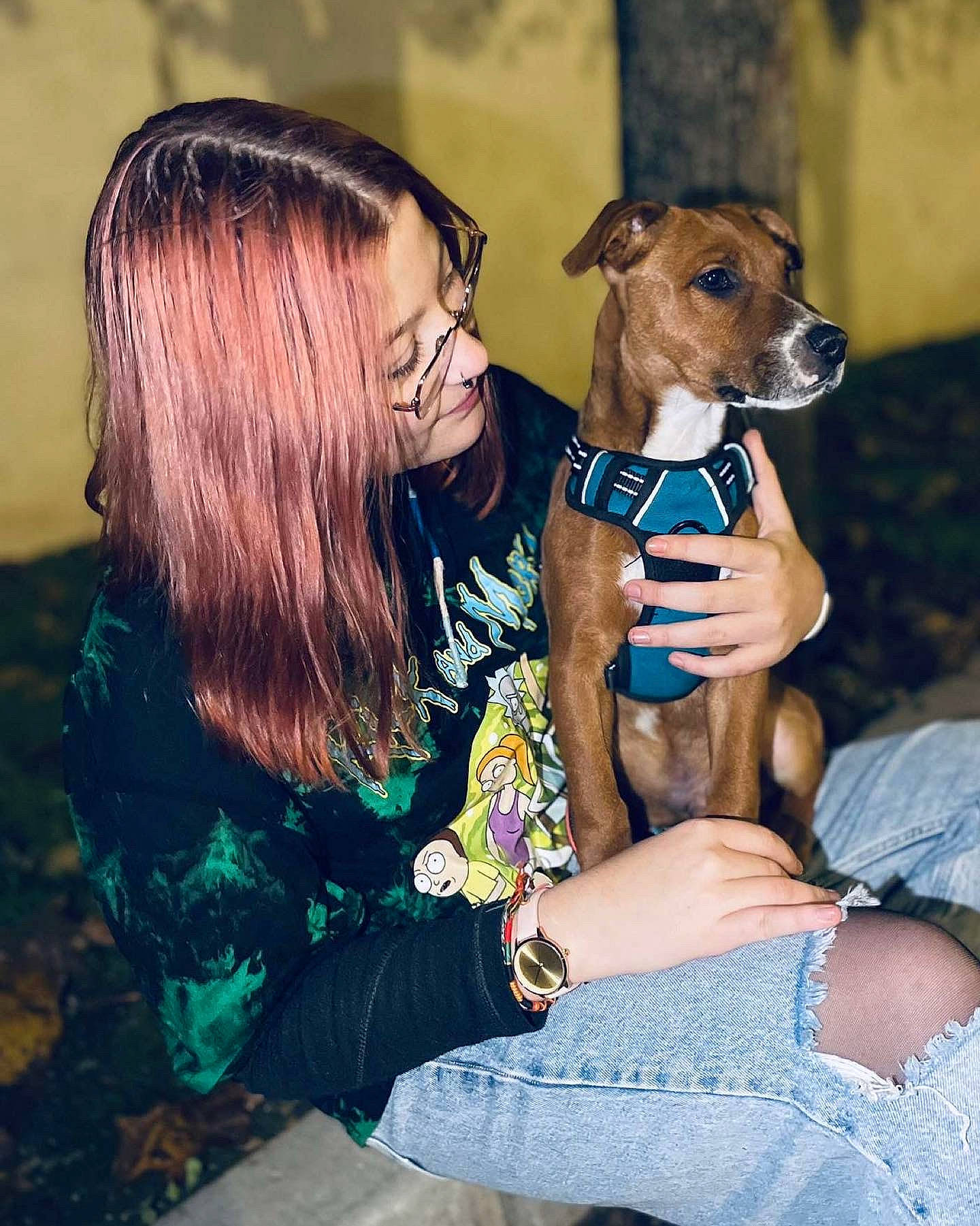 Tanos a rejoint le concours — aidez-le/la à gagner de superbes lots ! bracelet, brown_hair, canidae, carnivore, companion_dog, dog, dog_breed, dog_collar, dog_supply, dress, eyewear, fawn, fun, happy, jewellery, sitting, smile, sporting_group, thigh, toy_dog