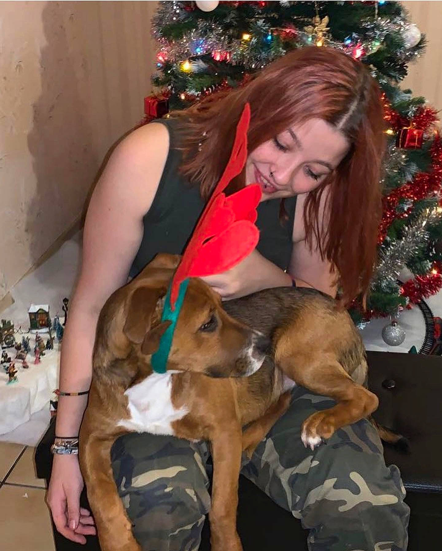 Tanos participe au concours pour gagner de l'argent avec cette photo : brown_hair, carnivore, christmas_decoration, christmas_ornament, christmas_tree, companion_dog, dog, dog_breed, event, fawn, fun, holiday, holiday_ornament, human_leg, lap, long_hair, ornament, sitting, thigh, tree