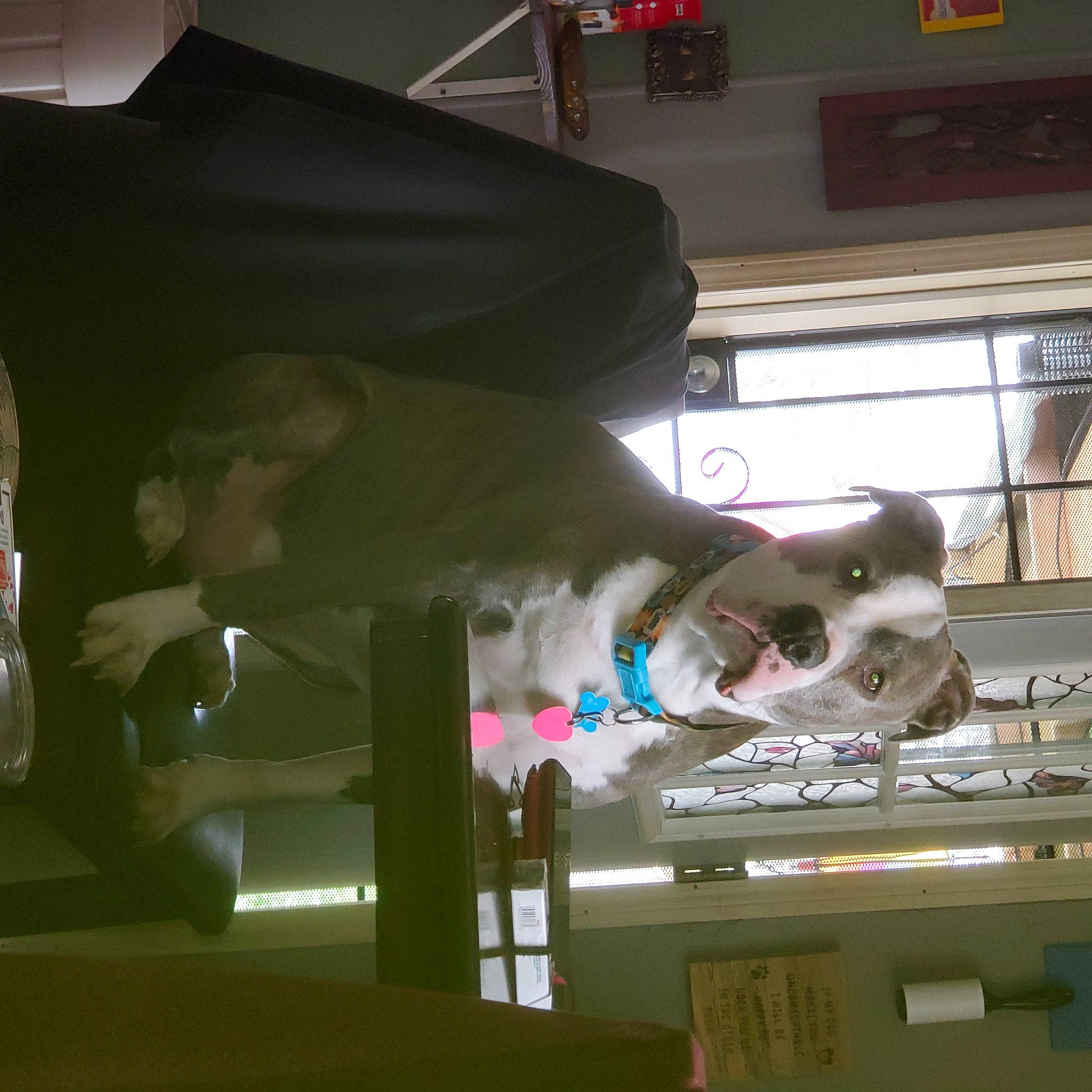 Bullder is registered to the contest to win money with this photo: aerospace_engineering, air_travel, auto_part, automotive_design, automotive_exterior, automotive_lighting, automotive_window_part, ceiling, fun, glass, hat, luxury_vehicle, machine, room, service, windshield