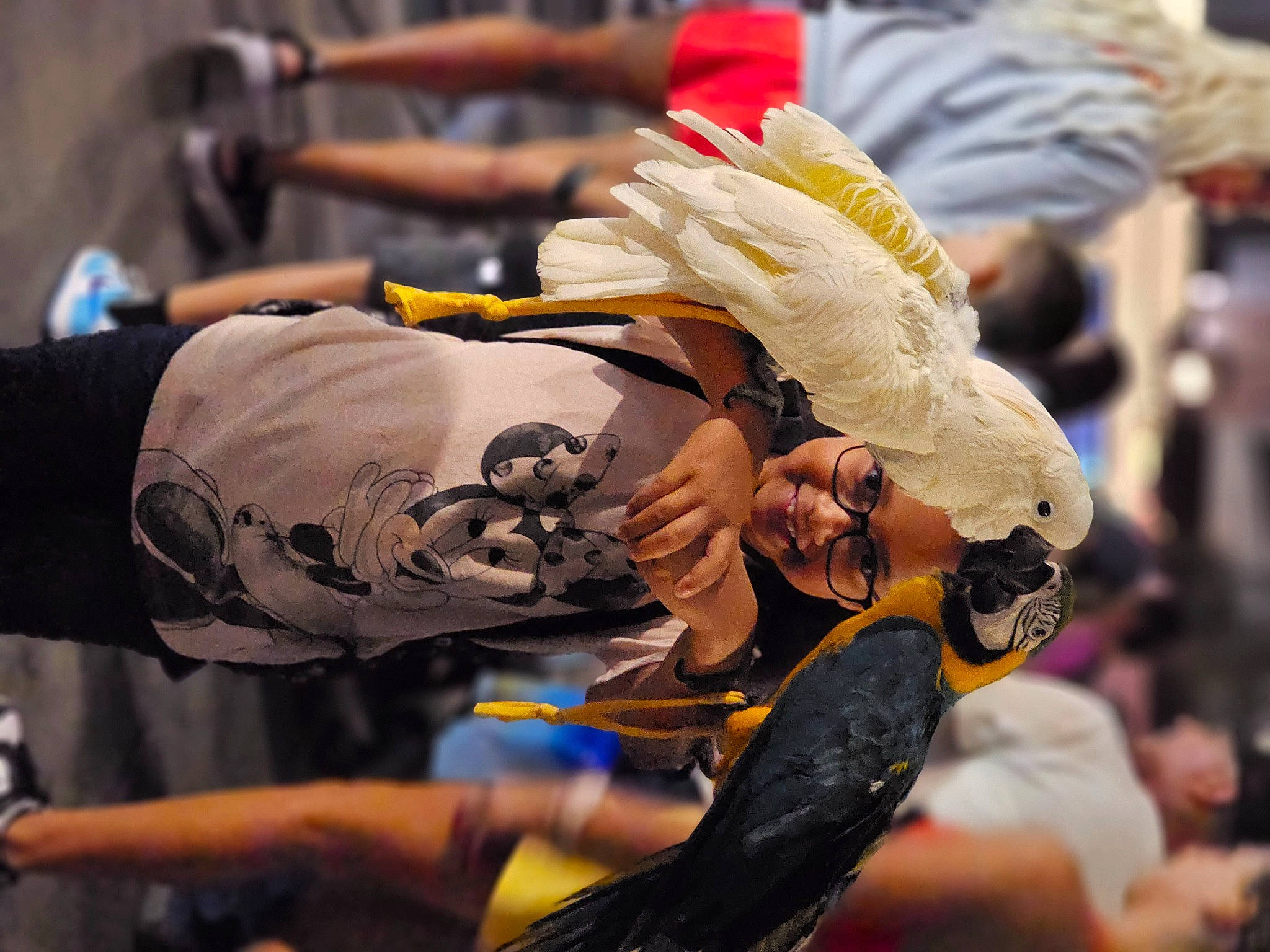 Sydney is registered to the contest to win money with this photo: championship, competition_event, costume, crowd, event, fashion_accessory, feather, festival, hat, headwear, human_leg, joy, person, personal_protective_equipment, public_event, recreation, street, tradition, wing, yellow