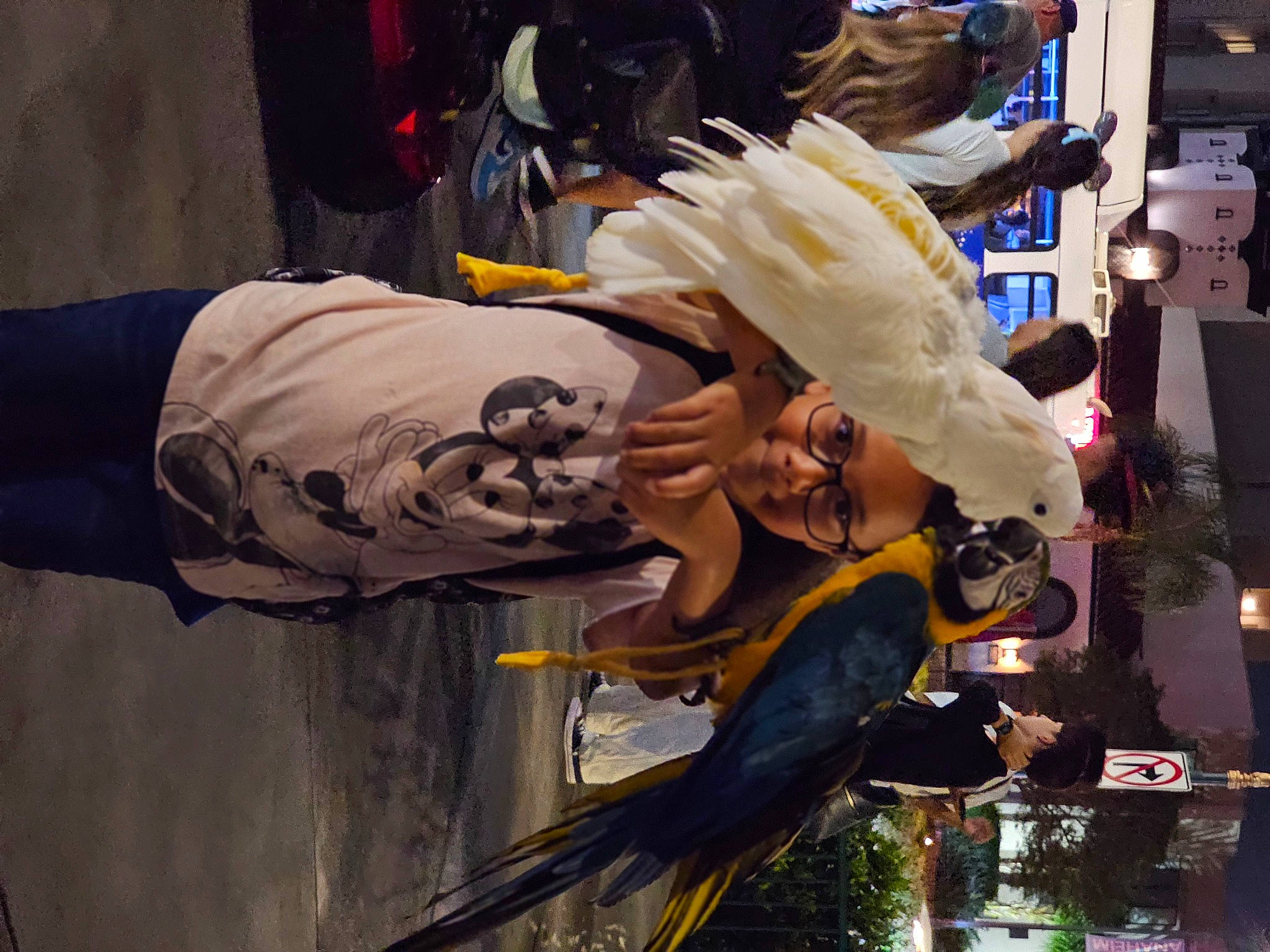 Sydney is registered to the contest to win money with this photo: action_figure, art, carmine, cosplay, costume, event, fiction, fictional_character, glove, hat, machine, person, personal_protective_equipment, statue, wing