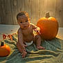 baby, diaper, pumpkin, green_blanket, wooden_wall, autumn, child, indoor, soft_light, curious, sitting, orange, cute, toddler, floor, skin, portrait, seasonal, warm_light, cozy