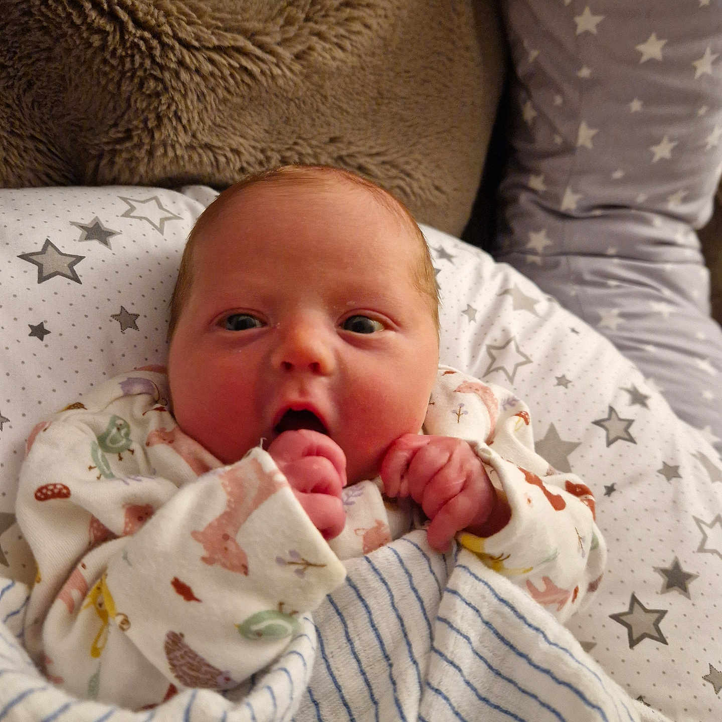 Noah joined the competition — help win amazing prizes! baby, bed, bedroom, blanket, bodypart, couch, crib, cushion, face, finger, furniture, hand, head, homedecor, infantbed, newborn, person, photography, portrait, quilt