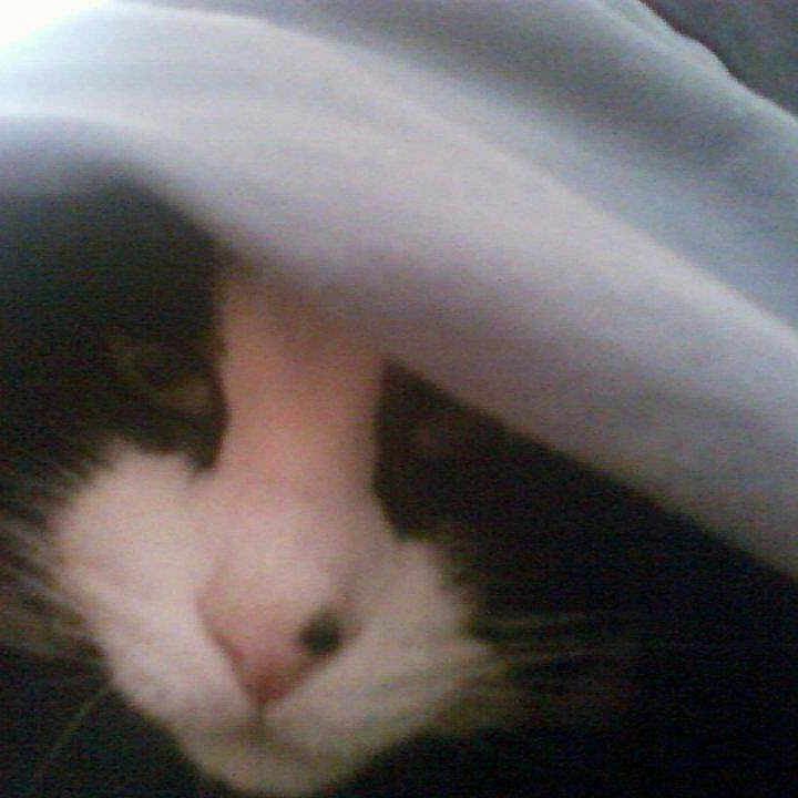 Francis is registered to the contest to win money with this photo: