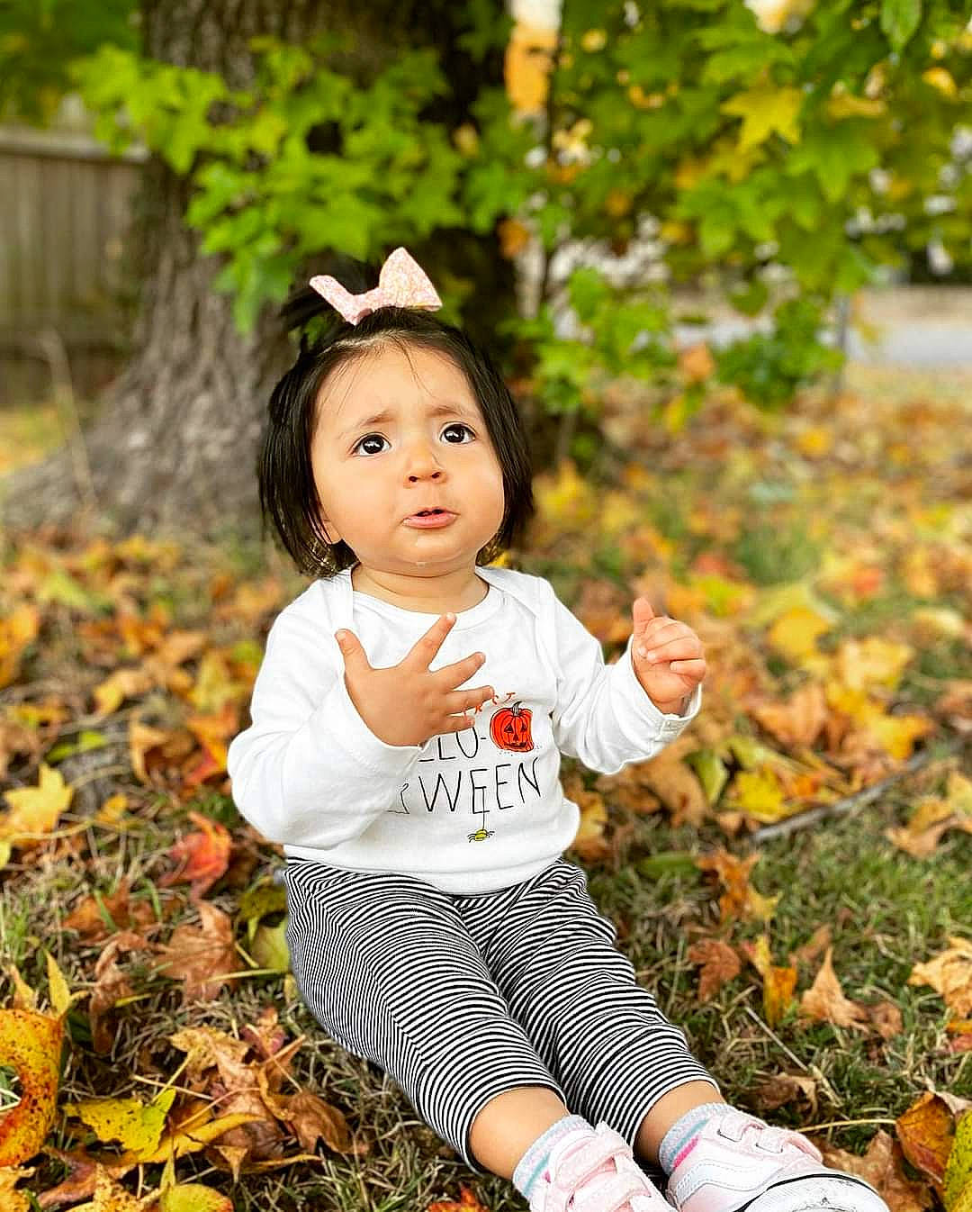 Izayla joined the competition — help win amazing prizes! autumn, baby, baby_toddler_clothing, botany, child, deciduous, eye, flash_photography, grass, happy, head, leaf, people_in_nature, person, photo_shoot, plant, portrait_photography, sitting, soil, toddler