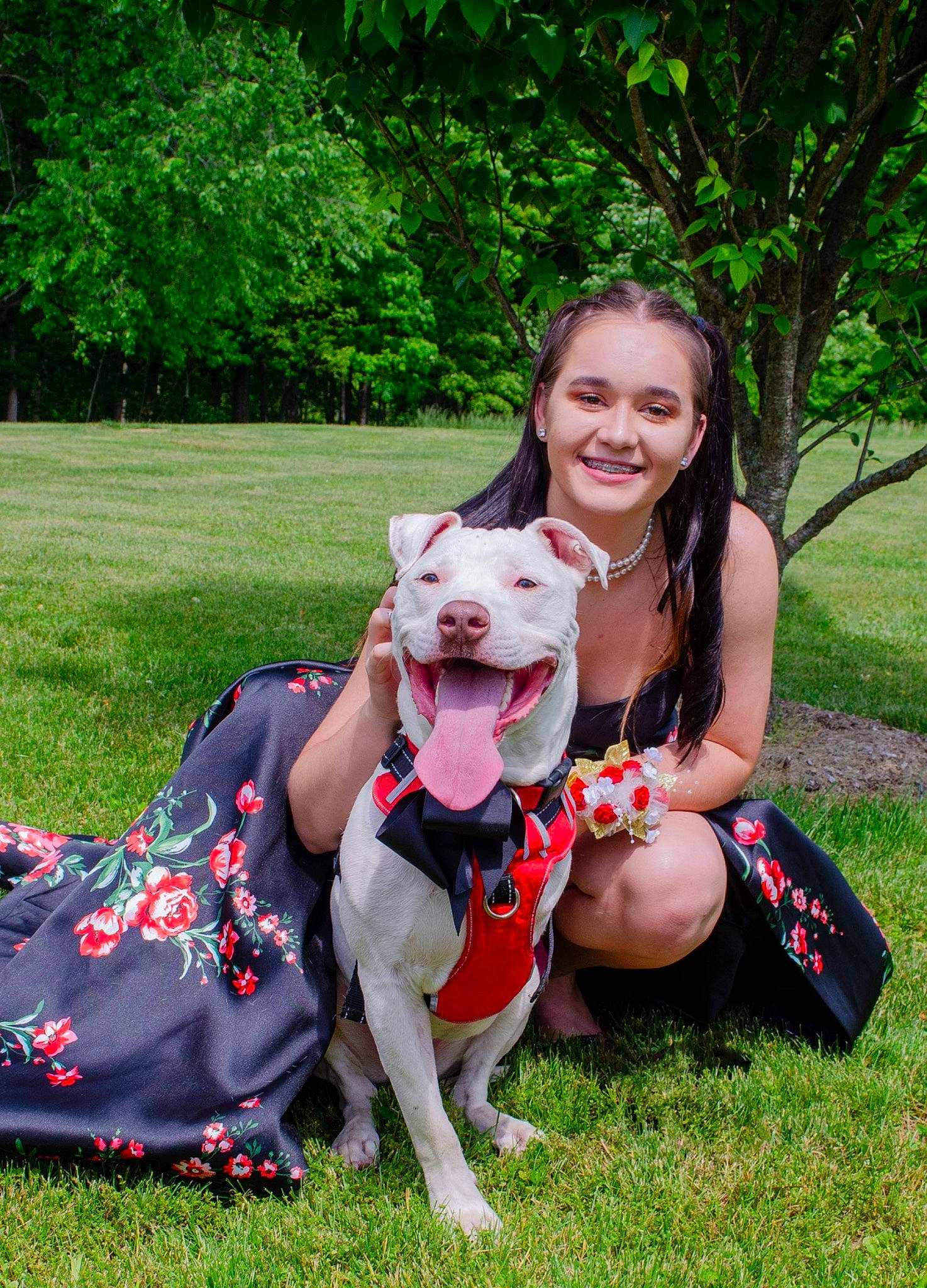 Rooster is registered to the contest to win money with this photo: carnivore, companion_dog, dog, dog_breed, fawn, fun, grass, happy, knee, lawn, leash, leg, leisure, plant, recreation, smile, summer, t_shirt, thigh, tree