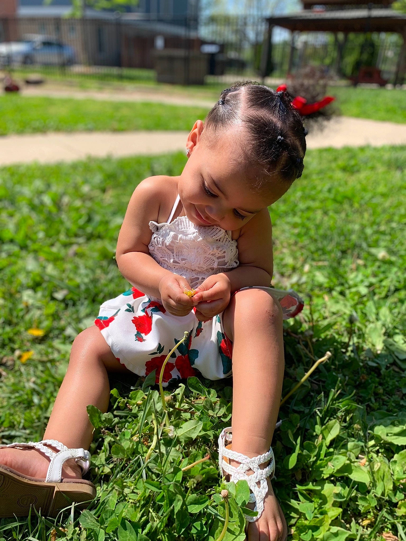 Kali joined the competition — help win amazing prizes! baby, baby_toddler_clothing, dress, grass, grassland, groundcover, happy, head, lawn, leaf, leg, leisure, meadow, people_in_nature, person, plant, shoe, shorts, sneakers, thigh