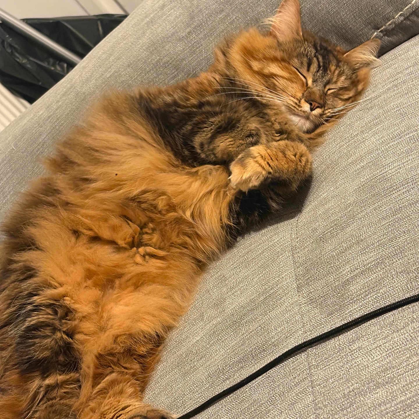 Ella