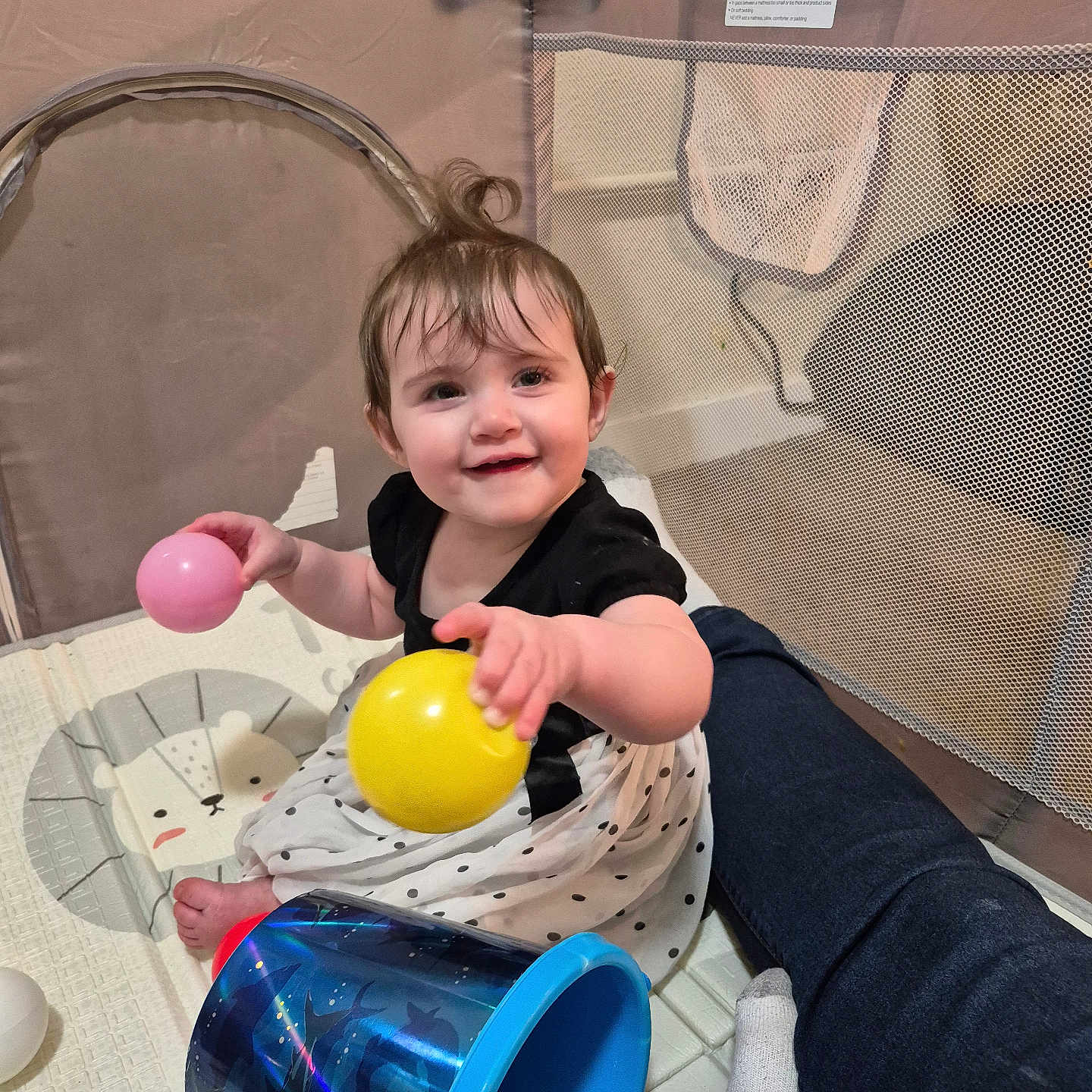 Kerrigan is registered to the contest to win money with this photo: baby, child, playpen, toy, ball, smile, happy, indoor, mesh, bucket, clothing, person, floor, cute, sitting, hair, skin, infant, play, legs