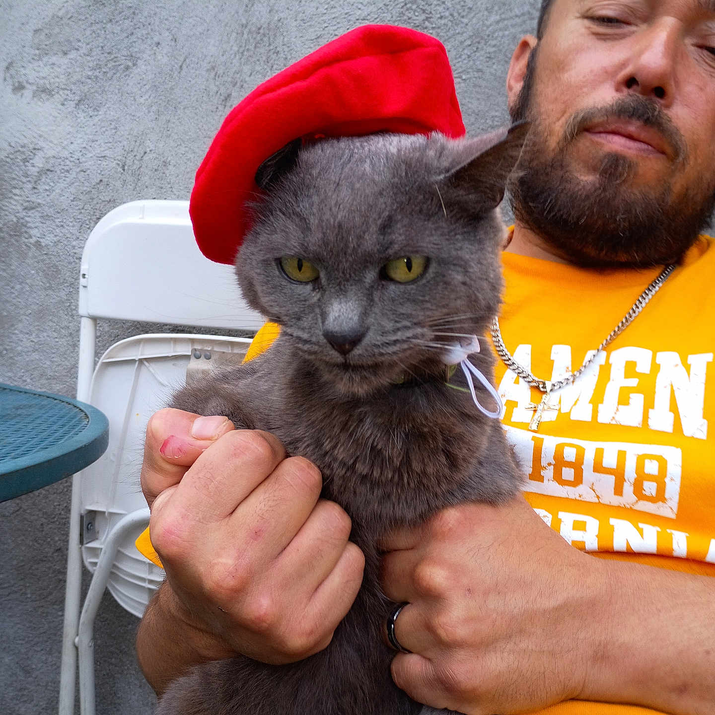 Smokey is registered to the contest to win money with this photo: cat, beret, gray_cat, man, yellow_shirt, chain_necklace, hand, chair, table, outdoor, wall, portrait, pet, animal, holding, face, fur, expression, casual, accessory