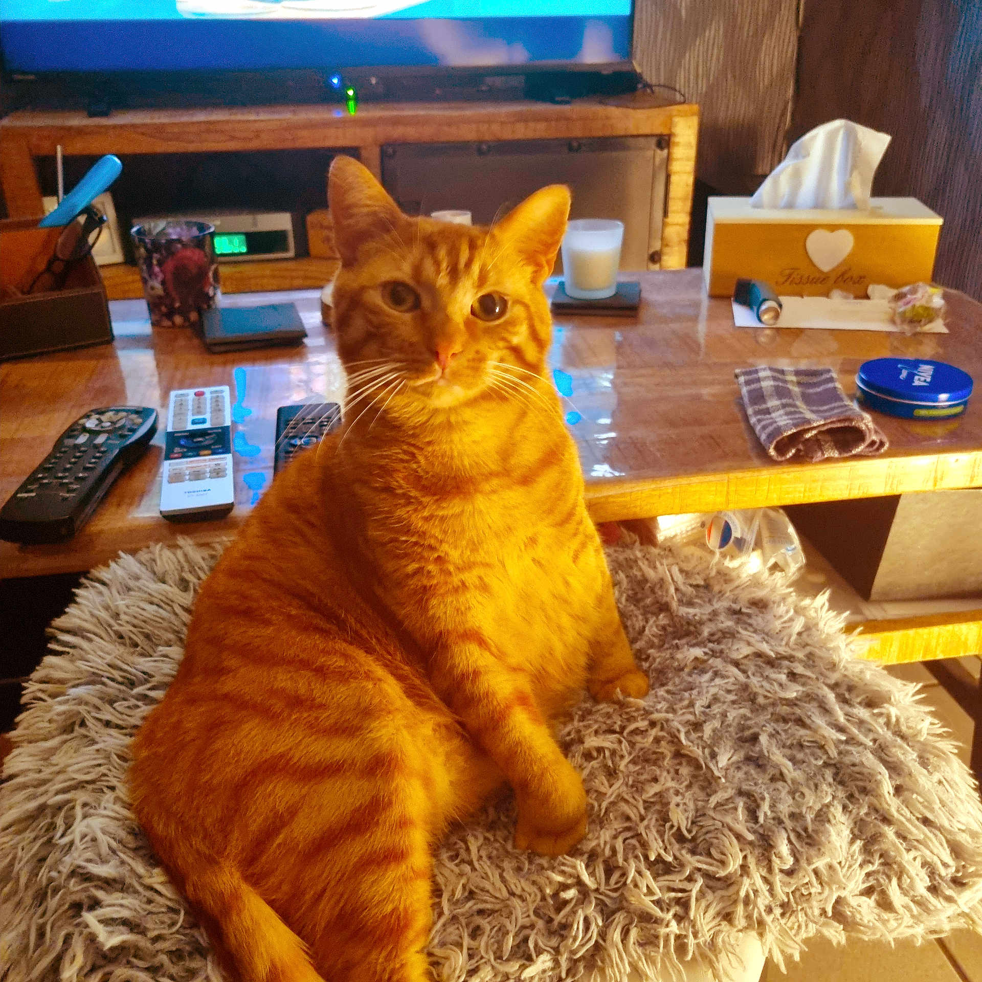 Kiki