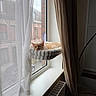 Aslan a rejoint le concours — aidez-le/la à gagner de superbes lots ! brick_building, cat, chair, cozy, curtain, daylight, fabric, feline, home_interior, indoor, orange_cat, pet, radiator, relaxed, resting, sheer_curtain, sleepy, soft, window, window_hammock