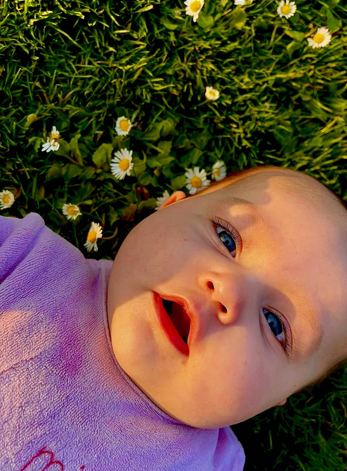 Elyna participe au concours pour gagner de l'argent avec cette photo : baby, beauty, botany, cheek, child, eyelash, face, flower, flowering_plant, grass, happy, headwear, people_in_nature, person, petal, plant, shrub, smile, spring, sunlight
