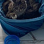 cat, tabby_cat, pet, indoor, blue_basket, blue_bowl, floor, marble_floor, feline, fur, whiskers, curious, paw, resting, cozy, domestic_animal, animal, cute, yellow_eyes, relaxed