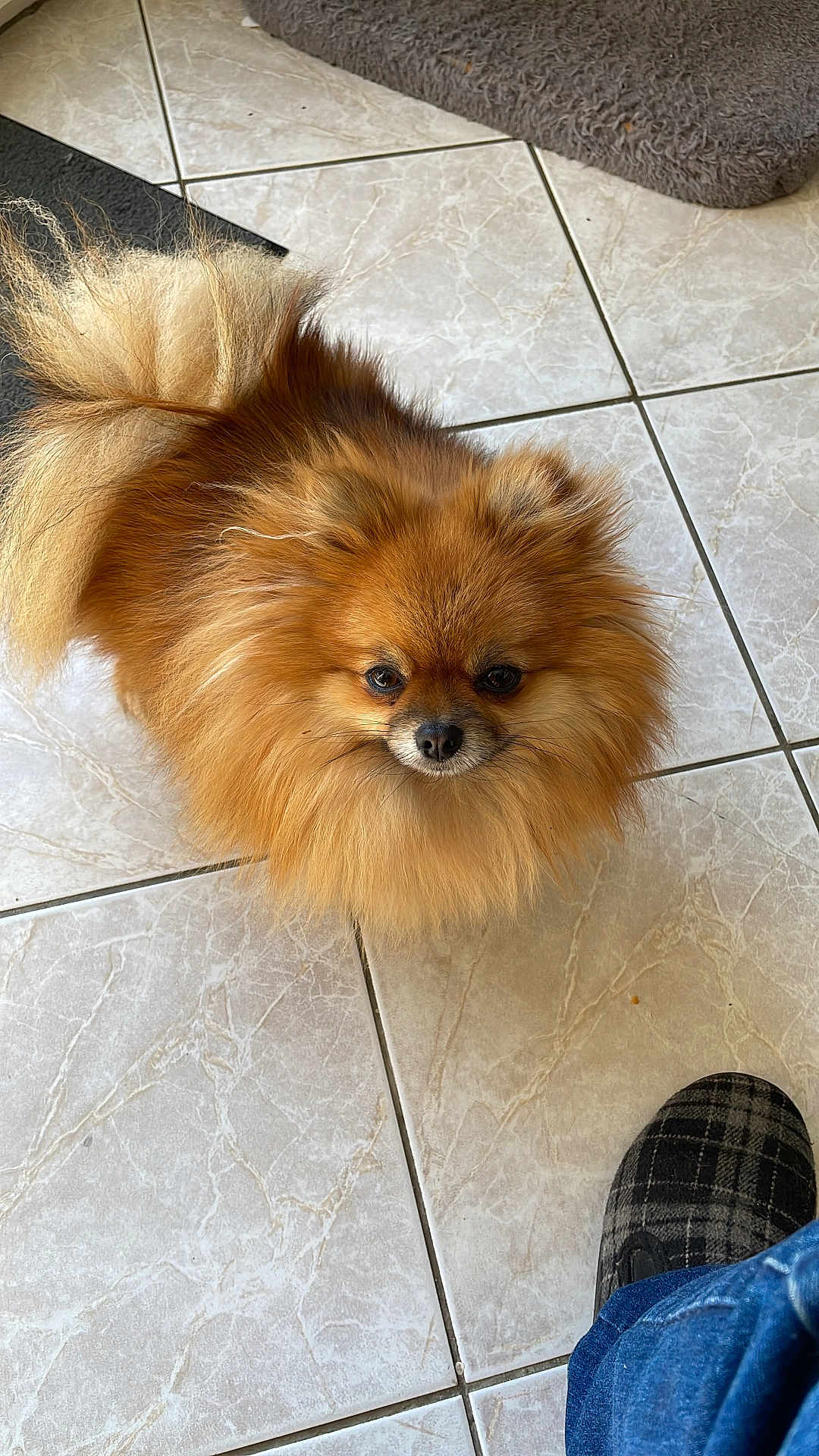 Tina
