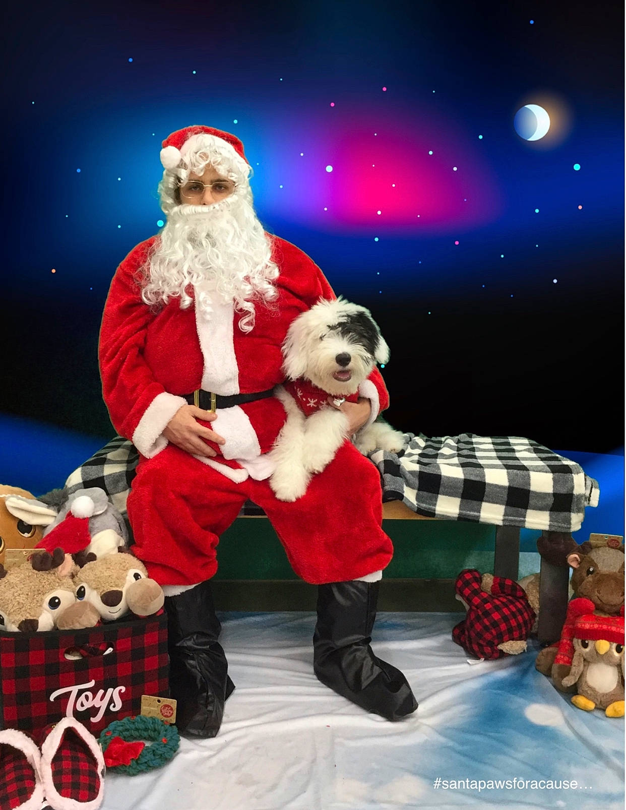 Muppet joined the competition — help win amazing prizes! canidae, christmas, christmas_eve, dog, fictional_character, holiday, non_sporting_group, santa_claus, shih_tzu