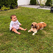 Jhaslyn joined the competition — help win amazing prizes! baby, child, dog, pet, outdoor, lawn, grass, garden, backyard, portrait, sitting, smiling, infant, overalls, clothing, animal, companion, shrubs, flowers, stroller