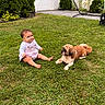 baby, child, dog, pet, outdoor, lawn, grass, garden, backyard, portrait, sitting, smiling, infant, overalls, clothing, animal, companion, shrubs, flowers, stroller