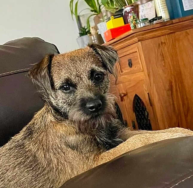 Lola May