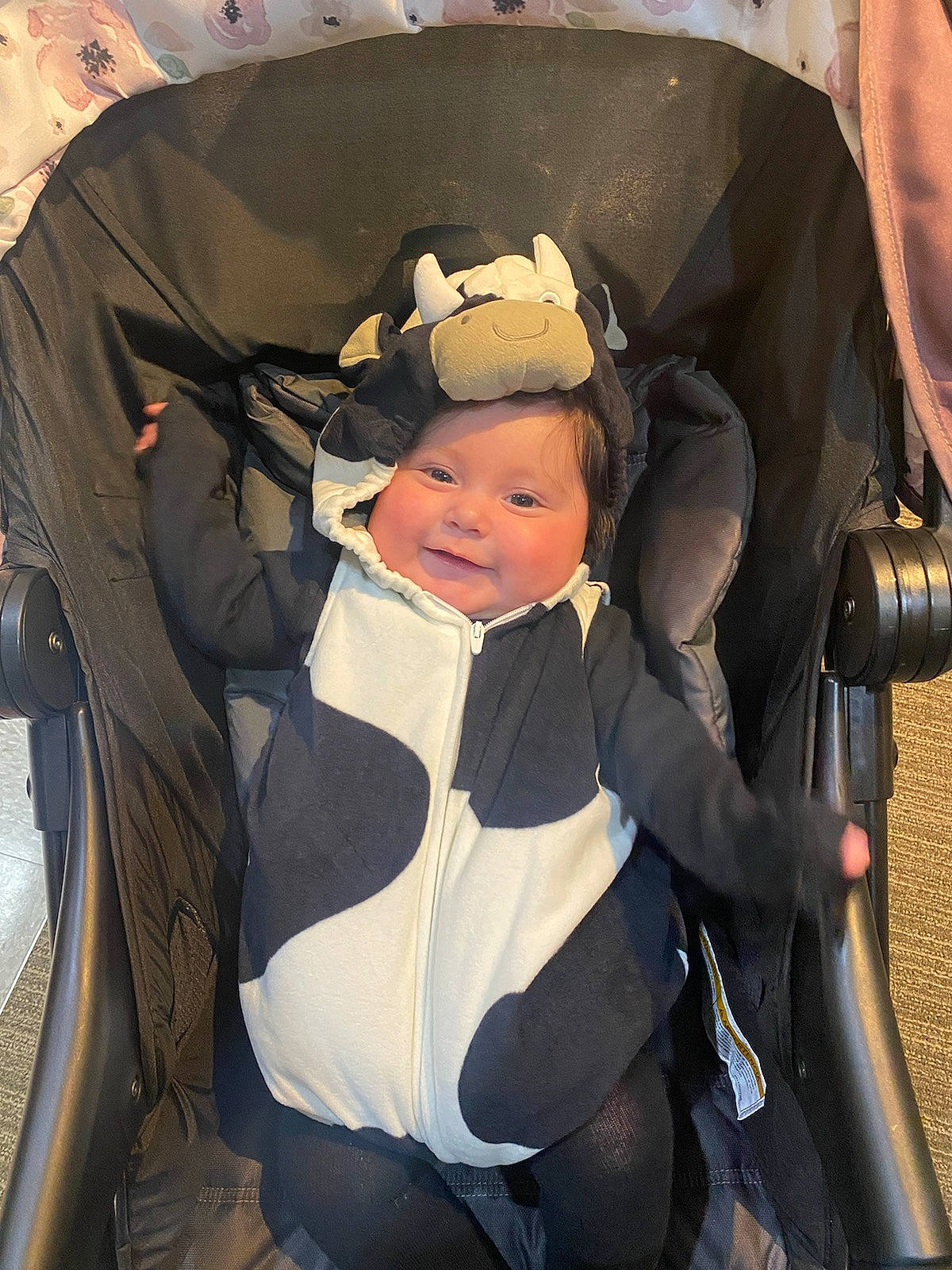 Katherine is registered to the contest to win money with this photo: auto_part, automotive_design, automotive_exterior, baby, baby_carriage, baby_in_car_seat, baby_products, baby_safety, baby_toddler_clothing, car_seat, child, comfort, family_car, fun, hat, motor_vehicle, person, personal_protective_equipment, sitting, toddler