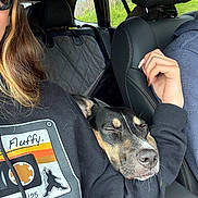 Nyx joined the competition — help win amazing prizes! dog, car_interior, person, hoodie, cassette_tape_design, sleeping_dog, seat, seatbelt, hand, window, nature_outside, greenery, casual_clothing, resting, travel, road_trip, pet, companion, comfort, relaxation