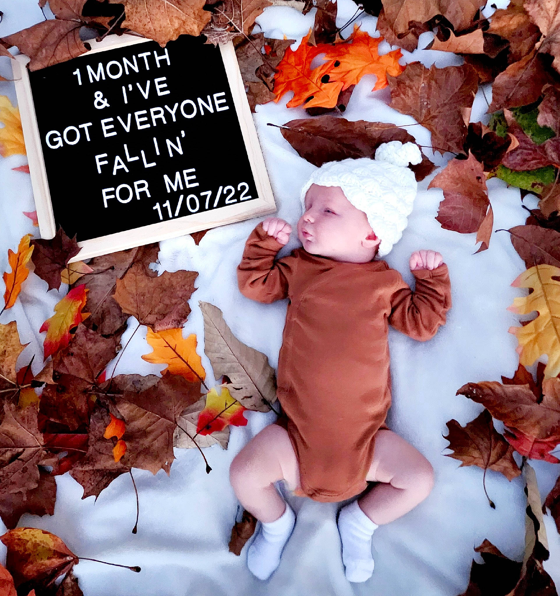 Stryker is registered to the contest to win money with this photo: autumn, child, deciduous, event, fictional_character, font, headwear, illustration, maple_leaf, orange, pattern, peach, people_in_nature, person, petal, plant, stuffed_toy, toddler, tree, twig