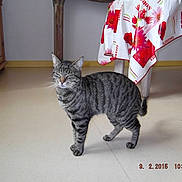 Minnie participe au concours pour gagner de l'argent avec cette photo :