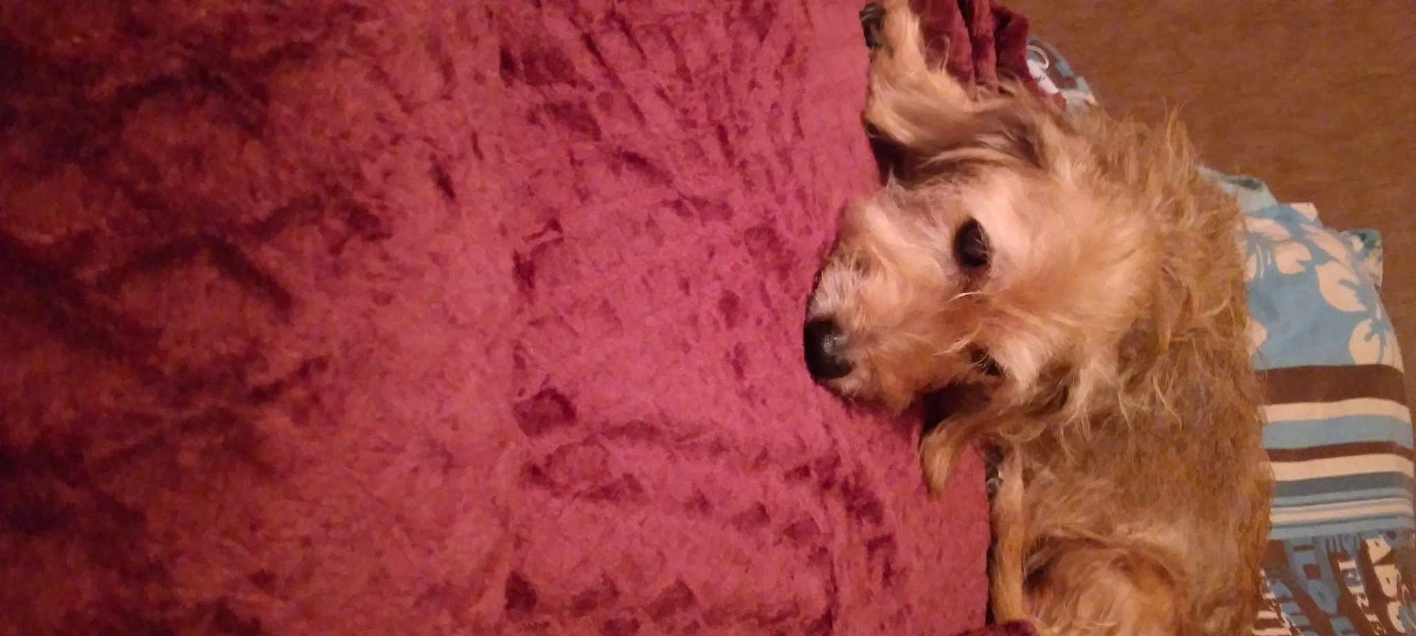 Louna Dite Loulou