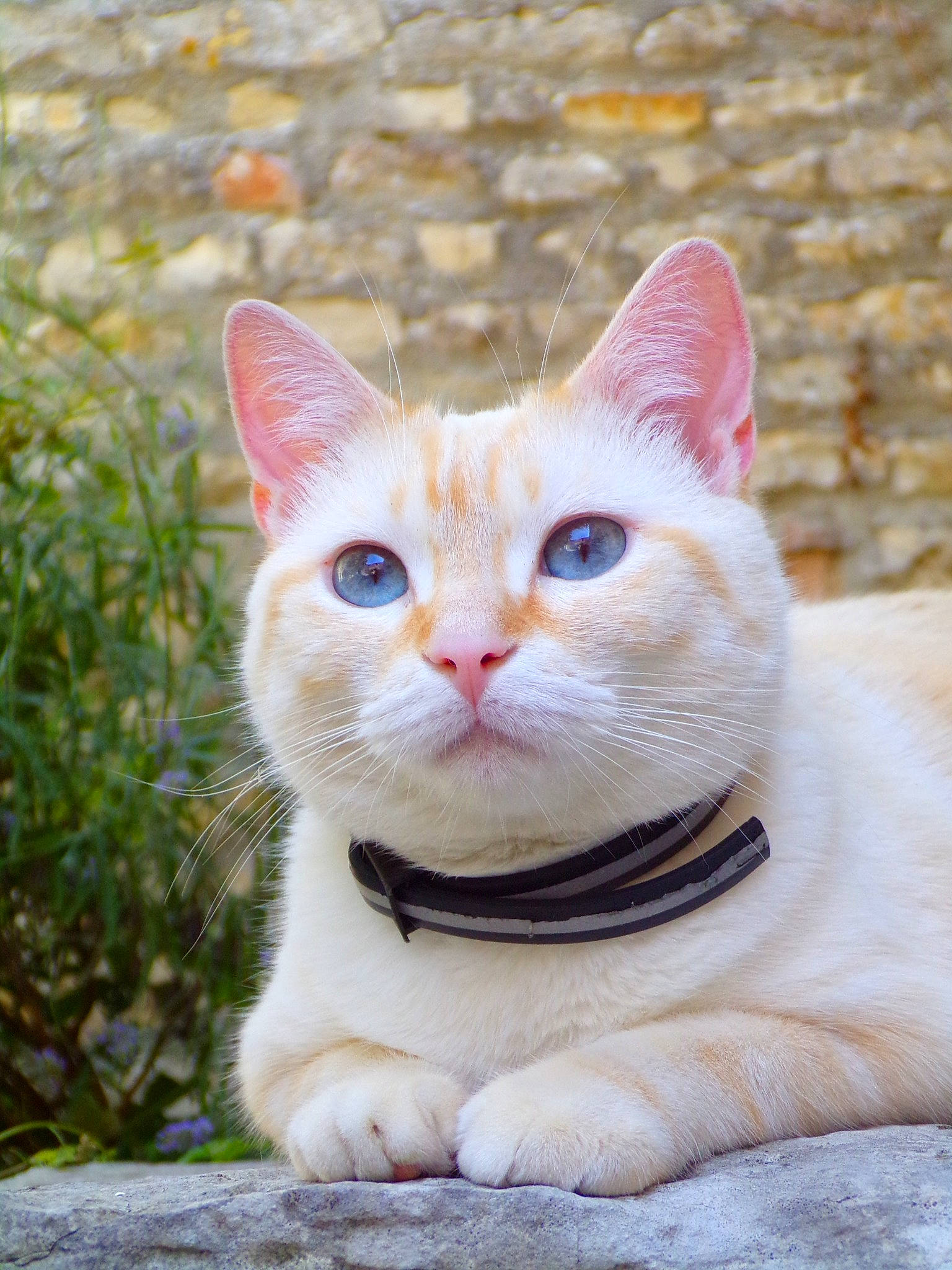 Nina a rejoint le concours — aidez-le/la à gagner de superbes lots !