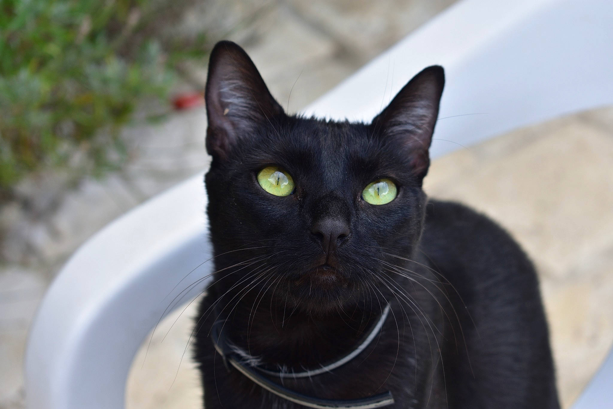 Mimi a rejoint le concours — aidez-le/la à gagner de superbes lots !