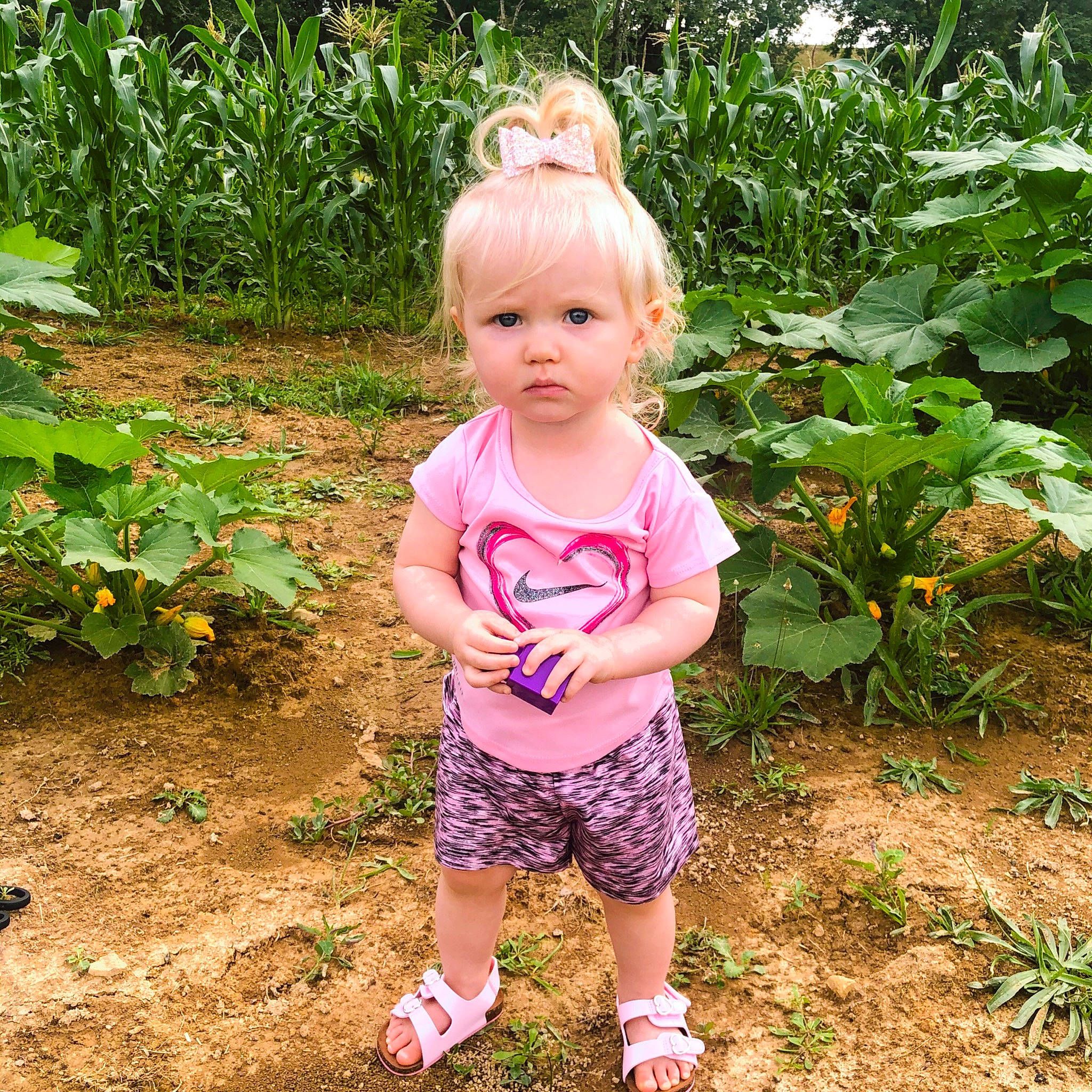 Adaline is registered to the contest to win money with this photo: botany, child, dress, face, flower, garden, grass, leaf, pattern, person, pink, plant, shorts, summer, toddler, tree, vacation