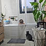Akela participe au concours pour gagner de l'argent avec cette photo : cat, child, bathroom, bathtub, glass_door, plant, laundry_basket, floor_mat, tile_floor, tile_wall, window, furniture, curious, indoor, pet, home, cleaning_supplies, modern, gray_cat, child_peeking