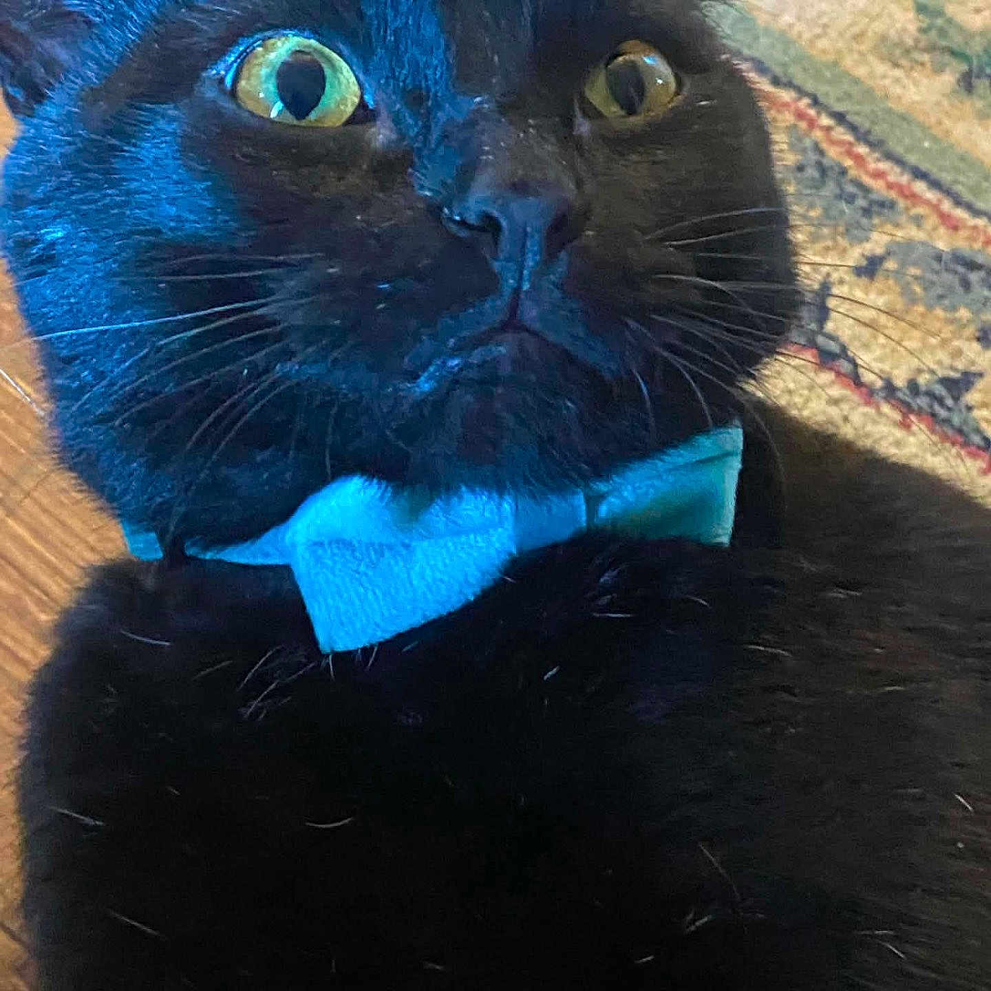 Binx