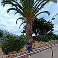 Laeticia S.