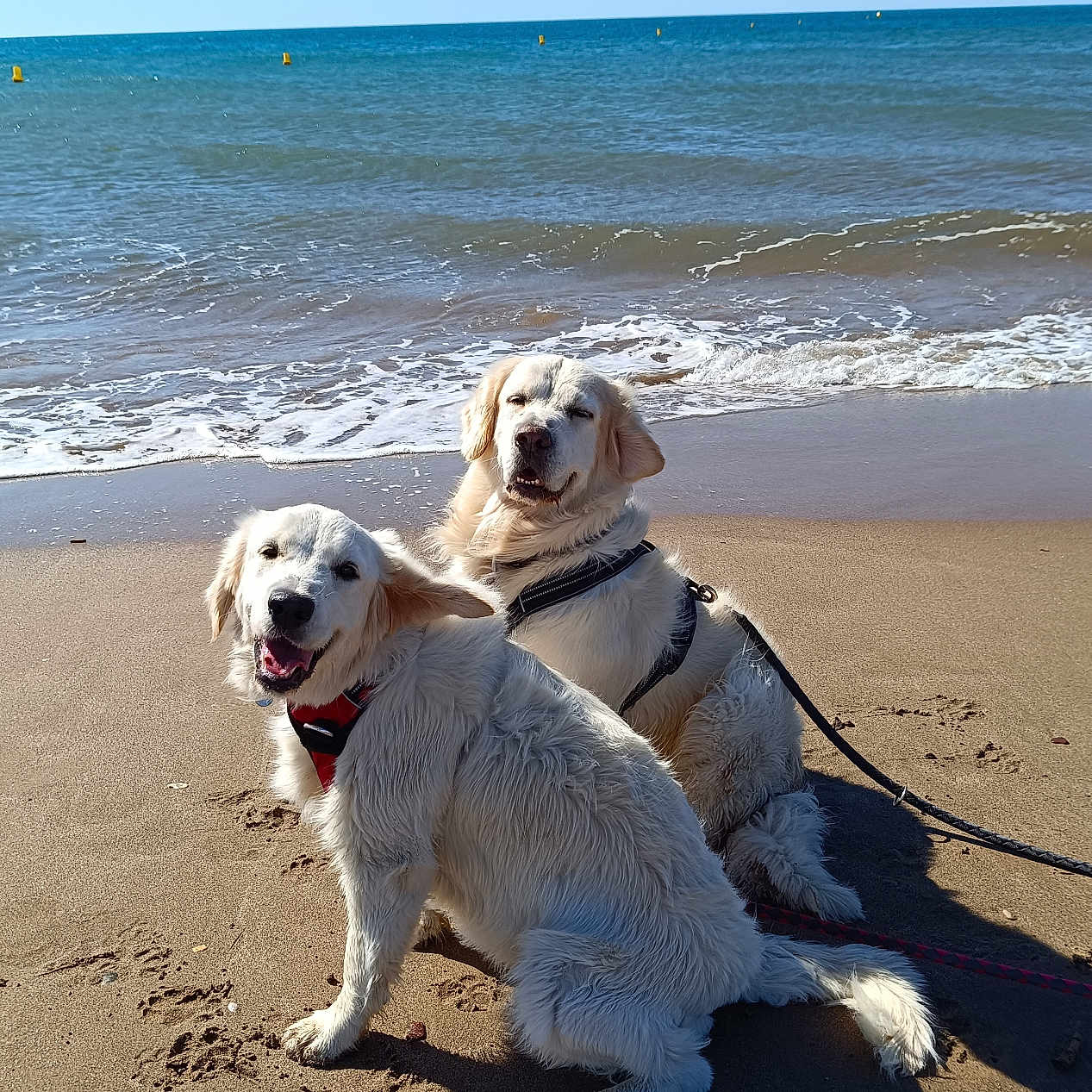Oscar Et Uly
