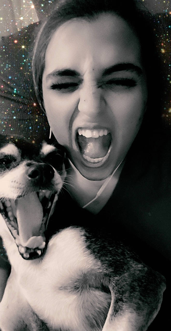 Angel is registered to the contest to win money with this photo: black, black_and_white, black_hair, carnivore, companion_dog, cool, dog, dog_breed, eyelash, eyewear, fawn, flash_photography, fun, gesture, happy, human_body, jaw, nose, organ, style