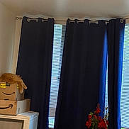 Pepe is registered to the contest to win money with this photo: cat, orange_cat, amazon_boxes, stacked_boxes, curtains, dark_blue_curtains, window, indoor, vase, red_flowers, furniture, chair, relaxed_cat, sleeping_cat, cozy, living_room, home_decor, box, pet, resting