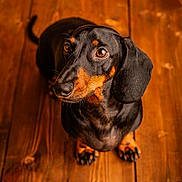 Razmotte a rejoint le concours — aidez-le/la à gagner de superbes lots !