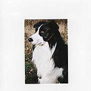 Filou a rejoint le concours — aidez-le/la à gagner de superbes lots !