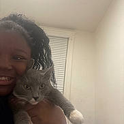 Smokey joined the competition — help win amazing prizes! person, cat, gray_cat, white_paws, smile, indoor, window, blinds, tablet, screen, holding, hair, face, pet, animal, happy, technology, furniture, room, cozy