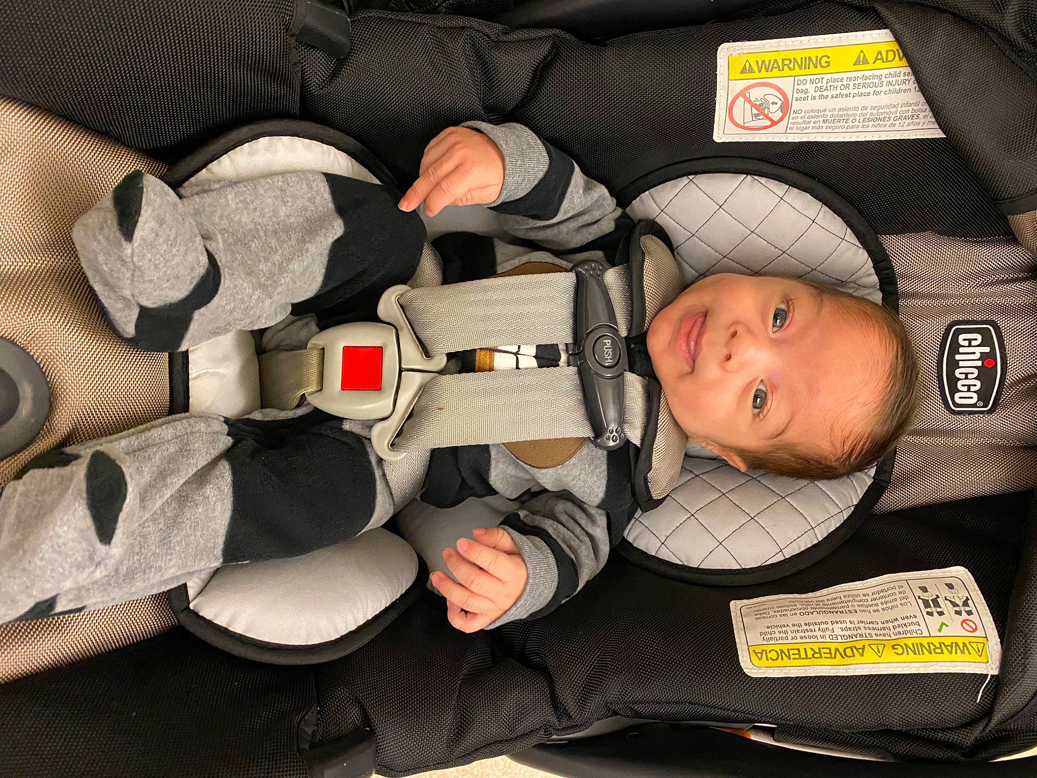 Izayah is registered to the contest to win money with this photo: auto_part, baby, baby_carriage, baby_in_car_seat, baby_products, baby_safety, baby_sleeping, baby_toddler_clothing, bag, car_seat, carmine, child, comfort, pattern, person, sitting, toddler