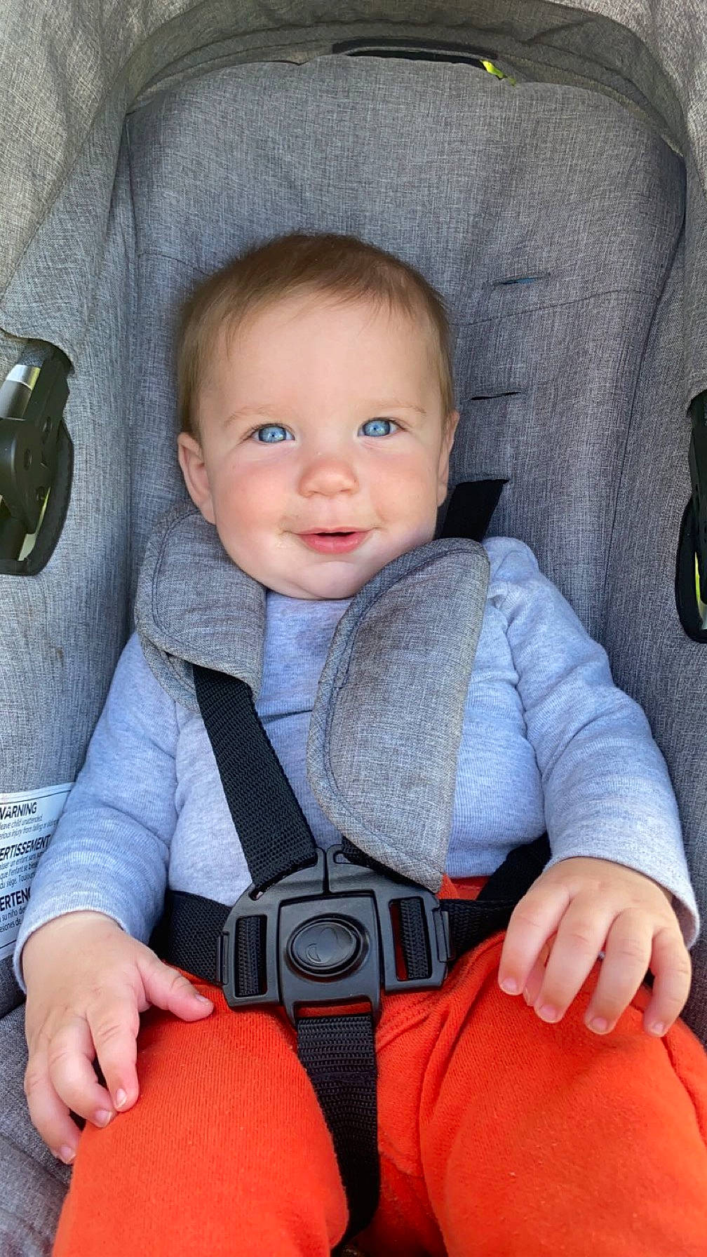 Beau joined the competition — help win amazing prizes! auto_part, baby, baby_carriage, baby_in_car_seat, baby_products, baby_safety, baby_toddler_clothing, car_seat, cheek, child, comfort, electric_blue, facial_expression, finger, iris, joy, person, seat_belt, sitting, skin