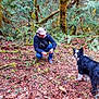Lilbit joined the competition — help win amazing prizes! man, dog, border_collie, forest, moss, trees, leaves, nature, outdoor, crouching, animal, canine, greenery, person, woodland, fallen_leaves, bark, exploring, pet, wildlife