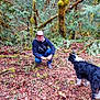 man, dog, forest, moss, leaves, tree, nature, outdoor, crouching, pet, canine, greenery, fern, fall, woods, animal, person, hat, casual_clothing, leaf_litter