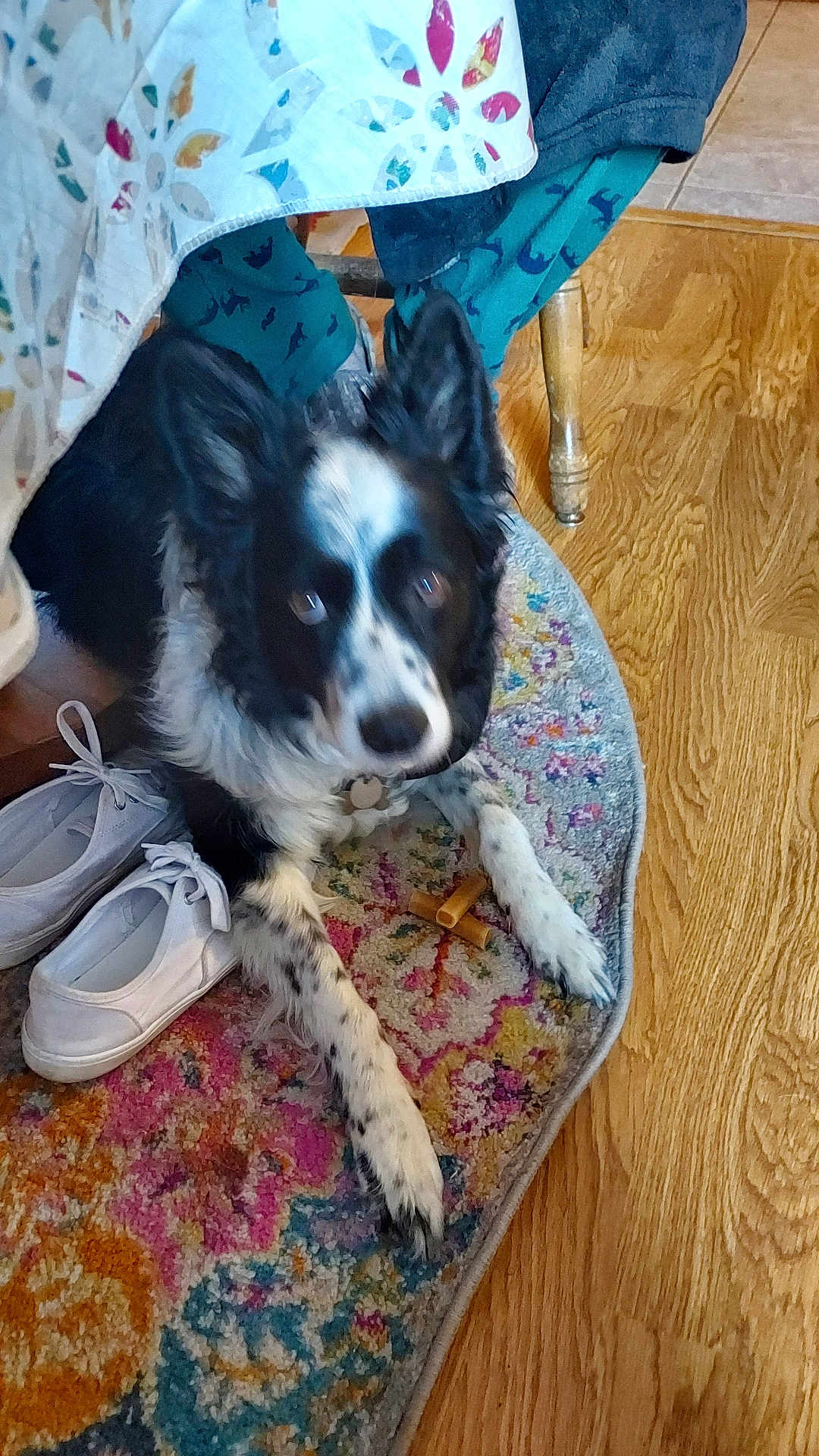 Lilbit