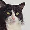 Arya participe au concours pour gagner de l'argent avec cette photo :