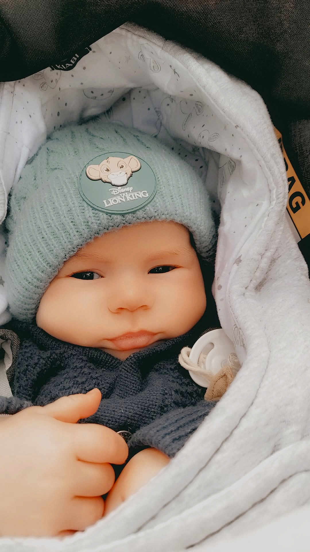 Morgan participe au concours pour gagner de l'argent avec cette photo : baby, infant, beanie, hat, lion_king, blanket, pacifier, hand, face, cute, cozy, warm, clothing, newborn, child, portrait, indoor, soft, snug, babywear